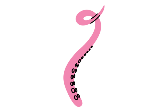 Download Octopus Pink Tentacle. Cute Mollusk. Car - Cute Collection
